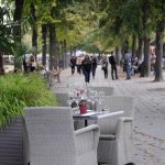 Terras